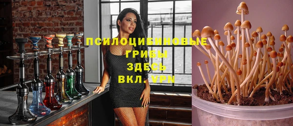 молекула духа Володарск