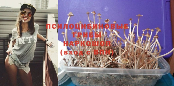 не бодяженный Горно-Алтайск