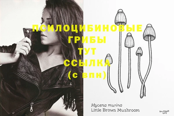 мет Семёнов